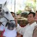 Diajari Prabowo Berkuda, Gibran: Siap Bapak