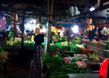 Harga Cabai di Tangsel Tembus Rp 100 Ribu Perkilo