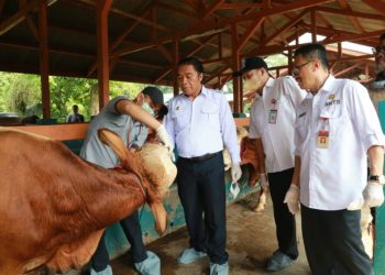 Tinjau Lapak Hewan Kurban, Pj Gubernur Banten: Yang Dijual Dipastikan Sehat
