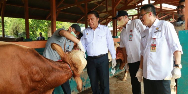 Tinjau Lapak Hewan Kurban, Pj Gubernur Banten: Yang Dijual Dipastikan Sehat
