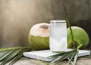 Air Kelapa Muda Vs Air Kelapa Tua, Mana yang Lebih Sehat?