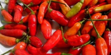 Harga Cabai Makin Pedas, Tembus Rp 120.000 per Kilogram