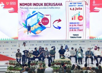 Jokowi Dorong Pelaku UMKM Manfaatkan Platform Daring untuk Dongkrak Omzet