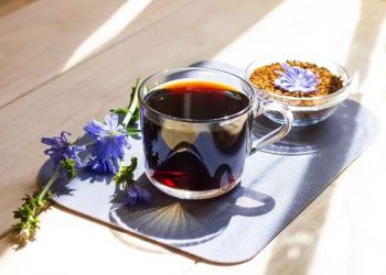 Mengenal Kopi Chicory, Alternatif Kopi Rendah Kafein
