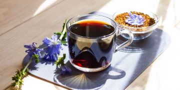 Mengenal Kopi Chicory, Alternatif Kopi Rendah Kafein