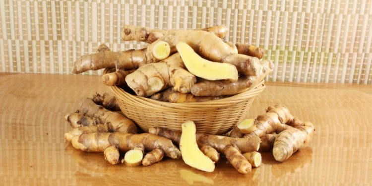 Manfaat Kunyit Putih untuk Lambung, Apakah Sudah Terbukti?