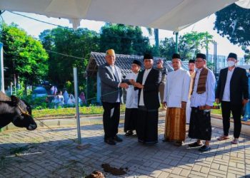 Rayakan Idul Adha, Benyamin Serahkan Hewan Kurban, Pilar Turun Langsung Ikut Sembelih