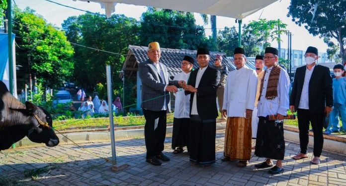 Rayakan Idul Adha, Benyamin Serahkan Hewan Kurban, Pilar Turun Langsung Ikut Sembelih