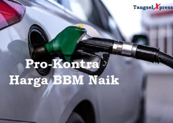 Tak Perlu Panik, Ini Penjelasan Menhub soal Kenaikan Harga BBM