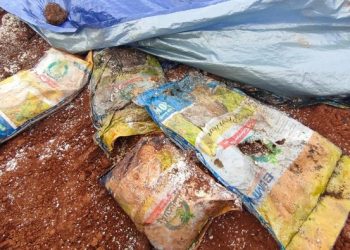 Viral Video Ratusan Karung Beras Bansos Dikubur di Depok, Polisi Lakukan Penyelidikan