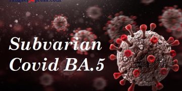 Wajib Tahu, Ini Gejala Subvarian COVID BA.5 yang Berbeda dengan Varian Lainnya