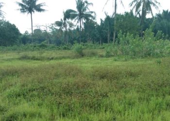 Mangkrak, Proyek Situ Cikulur Dipertanyakan Warga