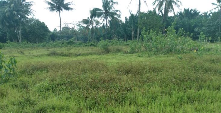 Mangkrak, Proyek Situ Cikulur Dipertanyakan Warga