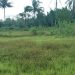 Mangkrak, Proyek Situ Cikulur Dipertanyakan Warga