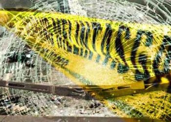 7 Korban Tewas Kecelakaan di Ruas Tol Batang-Semarang Teridentifikasi, Ini Identitasnya