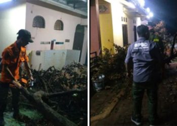 Hujan Lebat dan Angin Kencang di Ciputat Sebabkan Pohon Tumbang, 1 Warga Terluka
