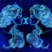 Ramalan Cinta Zodiak Gemini 3 Oktober 2023: Saat Ini Waktunya untuk Ungkapkan, Terbukalah Dengan Pasangan!