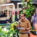 Cegah Stunting, Pilar Resmikan Pos Gizi Lavender
