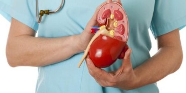 Terkait Gagal Ginjal Akut, Puan : Indonesia Harus Melakukan Transformasi Sektor Kesehatan