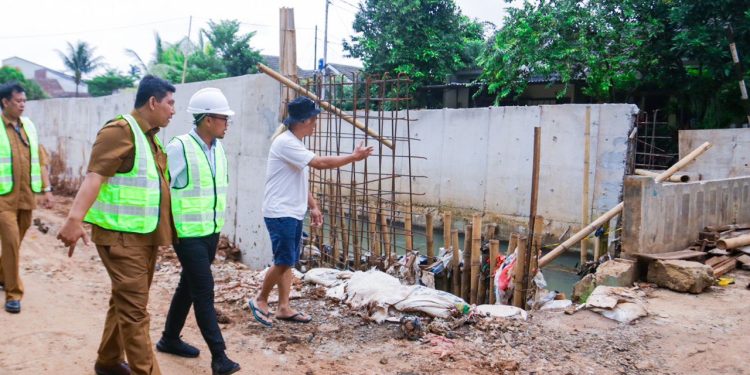 Tinjau Pembangunan Turap di Puri Bintaro, Begini Kata Pilar