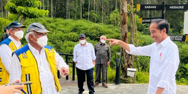 Jokowi Tinjau Pembangunan Infrastruktur Kawasan IKN
