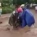 Banjir Bandang di Blitar Akibatkan Longsor dan Pemukiman Warga Terendam