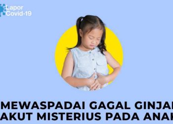 Kasus Gagal Ginjal Anak Meningkat, Kemenkes: Ada Penurunan Air Seni Anak Segera Bawa ke FasKes Terdekat