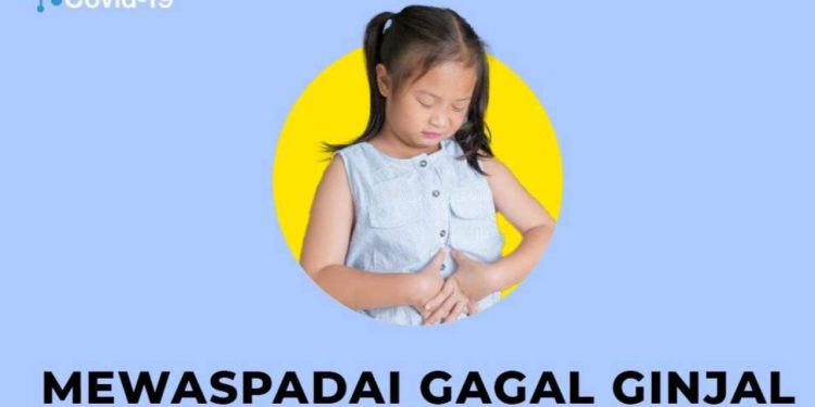 Kasus Gagal Ginjal Anak Meningkat, Kemenkes: Ada Penurunan Air Seni Anak Segera Bawa ke FasKes Terdekat