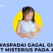 Kasus Gagal Ginjal Anak Meningkat, Kemenkes: Ada Penurunan Air Seni Anak Segera Bawa ke FasKes Terdekat