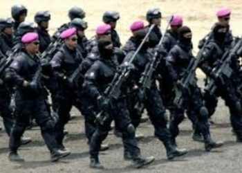 TNI AL Kerahkan 12 Kapal Perang di Perairan Bali, Beserta Denjaka dan Kopaska