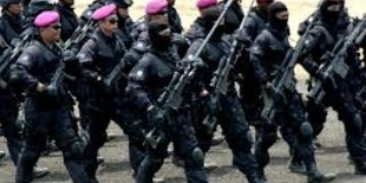 TNI AL Kerahkan 12 Kapal Perang di Perairan Bali, Beserta Denjaka dan Kopaska