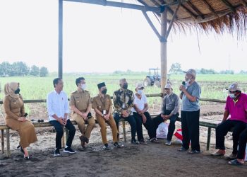 Dorong Kemandirian Gula Nasional, Pemerintah Klaim Siapkan Lahan 700 Hektare 