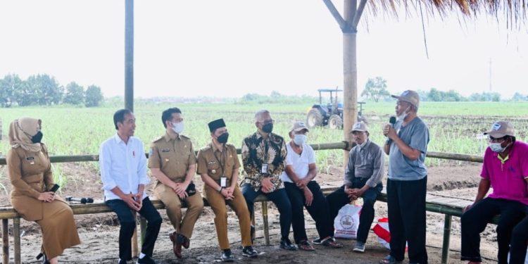 Dorong Kemandirian Gula Nasional, Pemerintah Klaim Siapkan Lahan 700 Hektare 