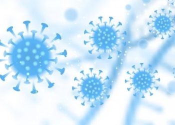 Waspada, di Indonesia 12 Orang Dilaporkan Telah Terkena Omicron XBB