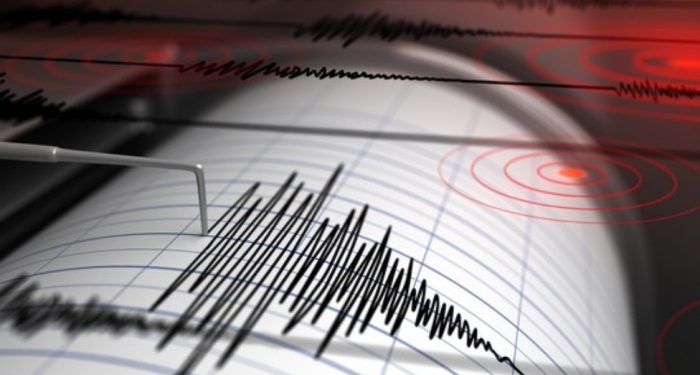 Jember Diguncang Gempa 6,2 Magnitudo, BPBD: Tidak Ada Kerusakan Signifikan