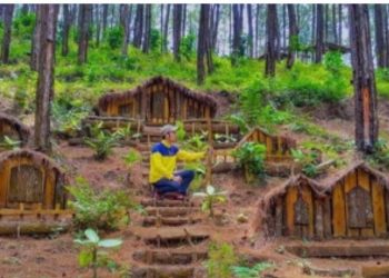 Lima Tempat Wisata Perbukitan untuk Liburan Natal dan Tahun Baru