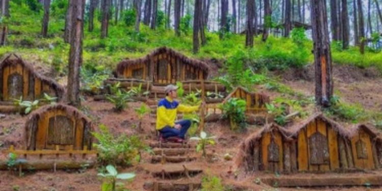 Lima Tempat Wisata Perbukitan untuk Liburan Natal dan Tahun Baru