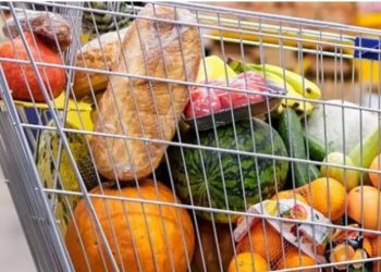 Bahan Makanan yang Bisa Tingkatkan Imunitas Tubuh