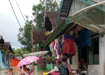 Banjir di Pandeglang, 40 Hektar Sawah Gagal Panen