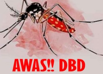Masyarakat Tangsel Harap Waspada, Kasus DBD Dikabarkan Melonjak 