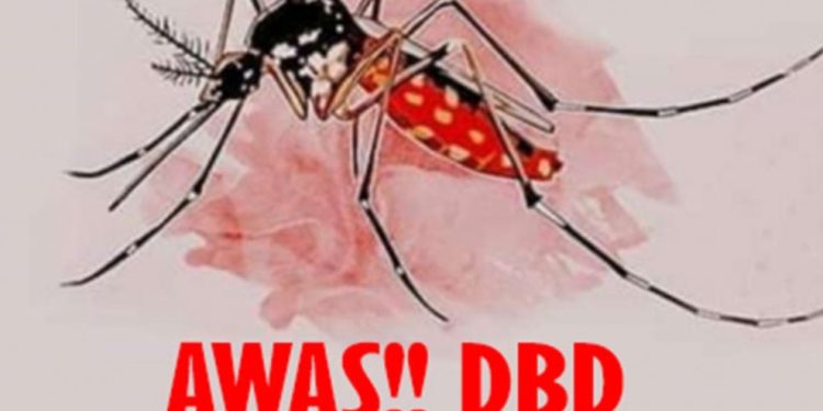 Masyarakat Tangsel Harap Waspada, Kasus DBD Dikabarkan Melonjak
