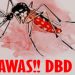 Masyarakat Tangsel Harap Waspada, Kasus DBD Dikabarkan Melonjak 