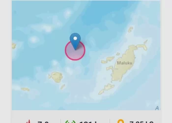 Diguncang Gempa 7,9 Magnitudo, BMKG Beri Peringatan Tsunami di Maluku