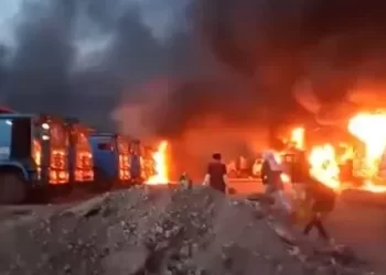 WNI Versus WNA China Bentrok di PT Gunbuster Nickel Industri, Bupati: WNA Diserang Duluan Oleh WNI