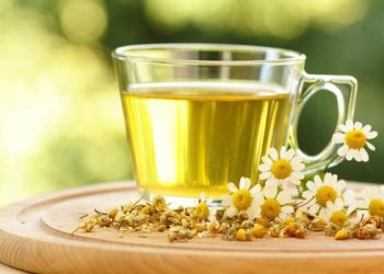 Yuk, Konsumsi Tujuh Minuman Ini Sebelum Tidur! Hasilnya Bikin Perut Mengecil