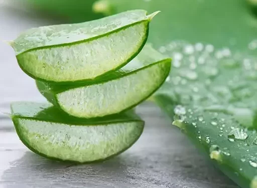 Cek Fakta! Lidah Buaya Bisa Hilangkan Jerawat dan Putihkan Kulit Wajah