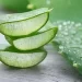 Cek Fakta! Lidah Buaya Bisa Hilangkan Jerawat dan Putihkan Kulit Wajah