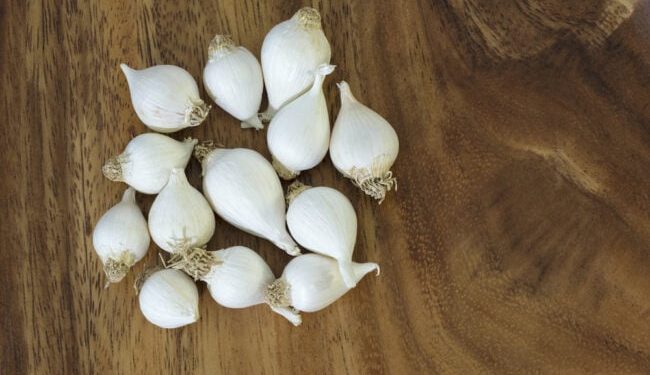 Tak Sekadar Jadi Bumbu Masakan, Bawang Putih Bikin Awet Muda dan Kendalikan Diabetes