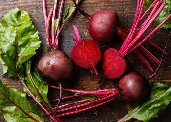 Manfaat Buah Bit, Konsumsi Rutin Bisa Terhindar dari Pikun