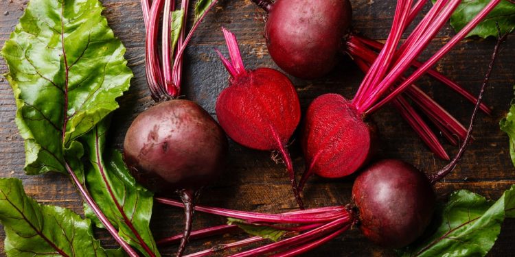 Manfaat Buah Bit, Konsumsi Rutin Bisa Terhindar dari Pikun